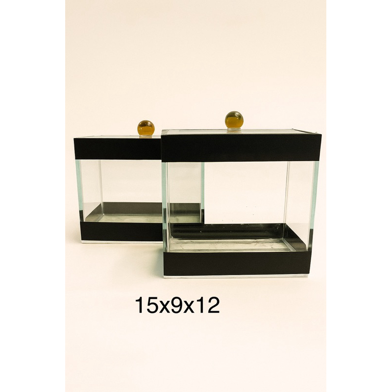 Aquario Beteira Aquario para Betta 15x9x12 Aquário para peixes ornamental