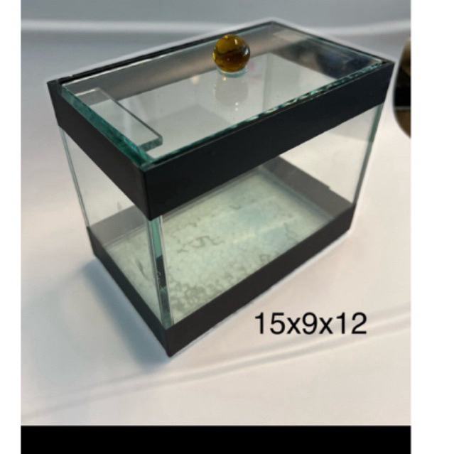 Aquario Beteira Aquario para Betta 15x9x12 Aquário para peixes ornamental