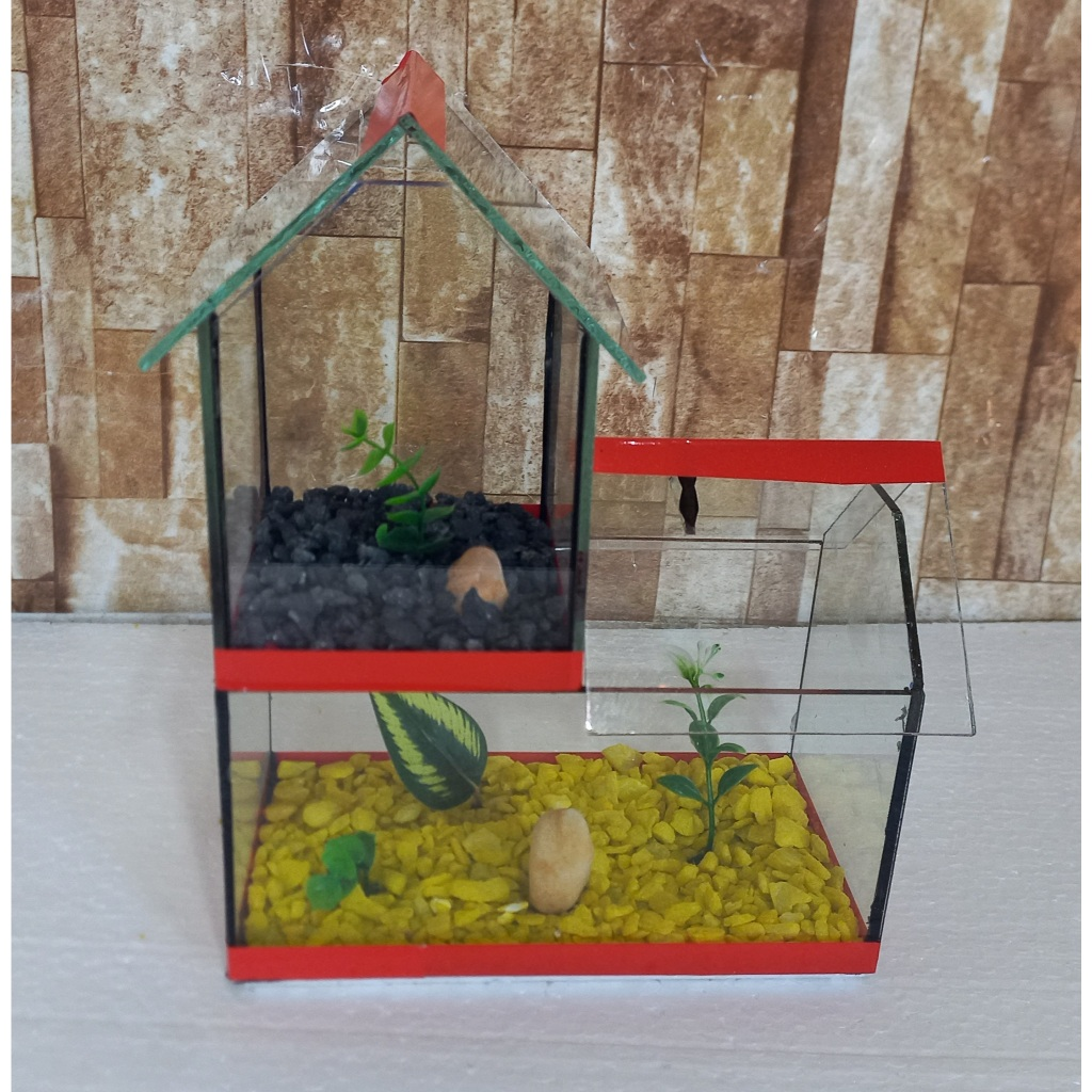 Aquario Beteira Castelo Para Peixe Betta decorado pedrinhas e planta artificial
