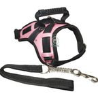Coleira Pet Resistente Para Cachorro Pitbull Labrador Dogo Rottweiller + Guia Peitoral De Cão Husky