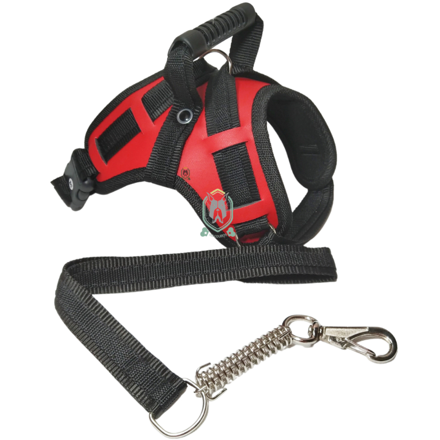 Coleira Pet Resistente Para Cachorro Pitbull Labrador Dogo Rottweiller + Guia Peitoral De Cão Husky