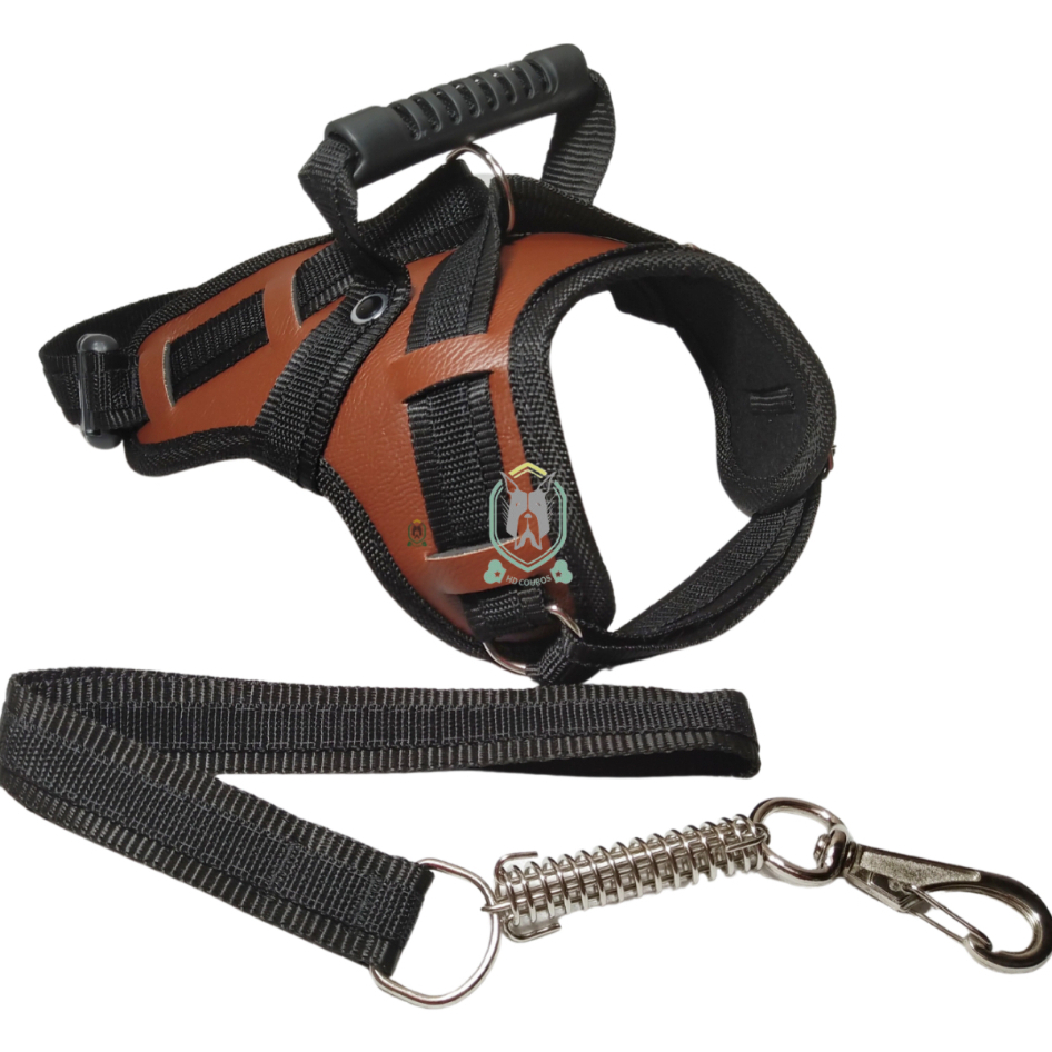 Coleira Pet Resistente Para Cachorro Pitbull Labrador Dogo Rottweiller + Guia Peitoral De Cão Husky