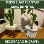 Pedra Seixo Branco Natural para Decoração – Caminhos, Canteiros e Vasos • Dolomita Premium