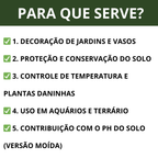 Pedra Seixo Branco Natural para Decoração – Caminhos, Canteiros e Vasos • Dolomita Premium
