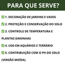 Pedra Seixo Branco Natural para Decoração – Caminhos, Canteiros e Vasos • Dolomita Premium