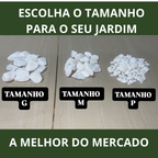 Pedra Seixo Branco Natural Para Decoração – Caminhos, Canteiros E Vasos • Dolomita Premium