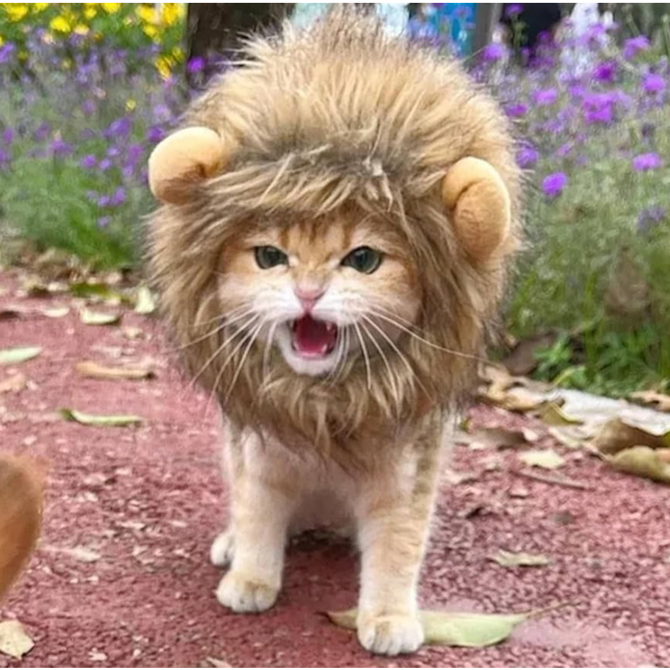 Peruca De Leão / Funny Chapéus para Pet de estimação / Vestir Roupas Fofas / Acessórios De Festa