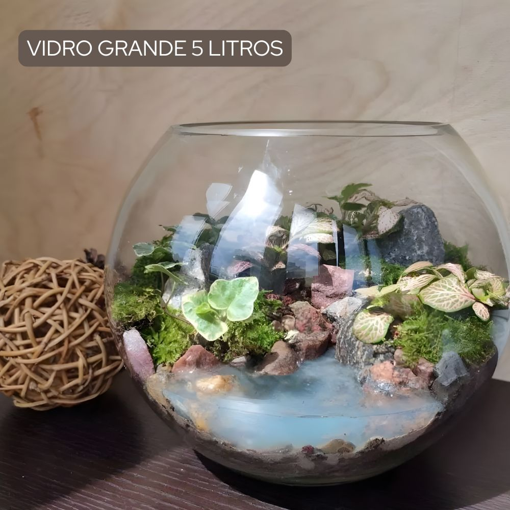 Vaso Aquário Redondo Vidro Transparente Decoração De Mesa Terrário 2,8 Litros