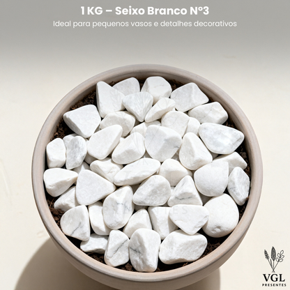 Pedra Para Vasos de Plantas Seixo Branco Dolomita Natural Premium Decoração Canteiros e Jardins