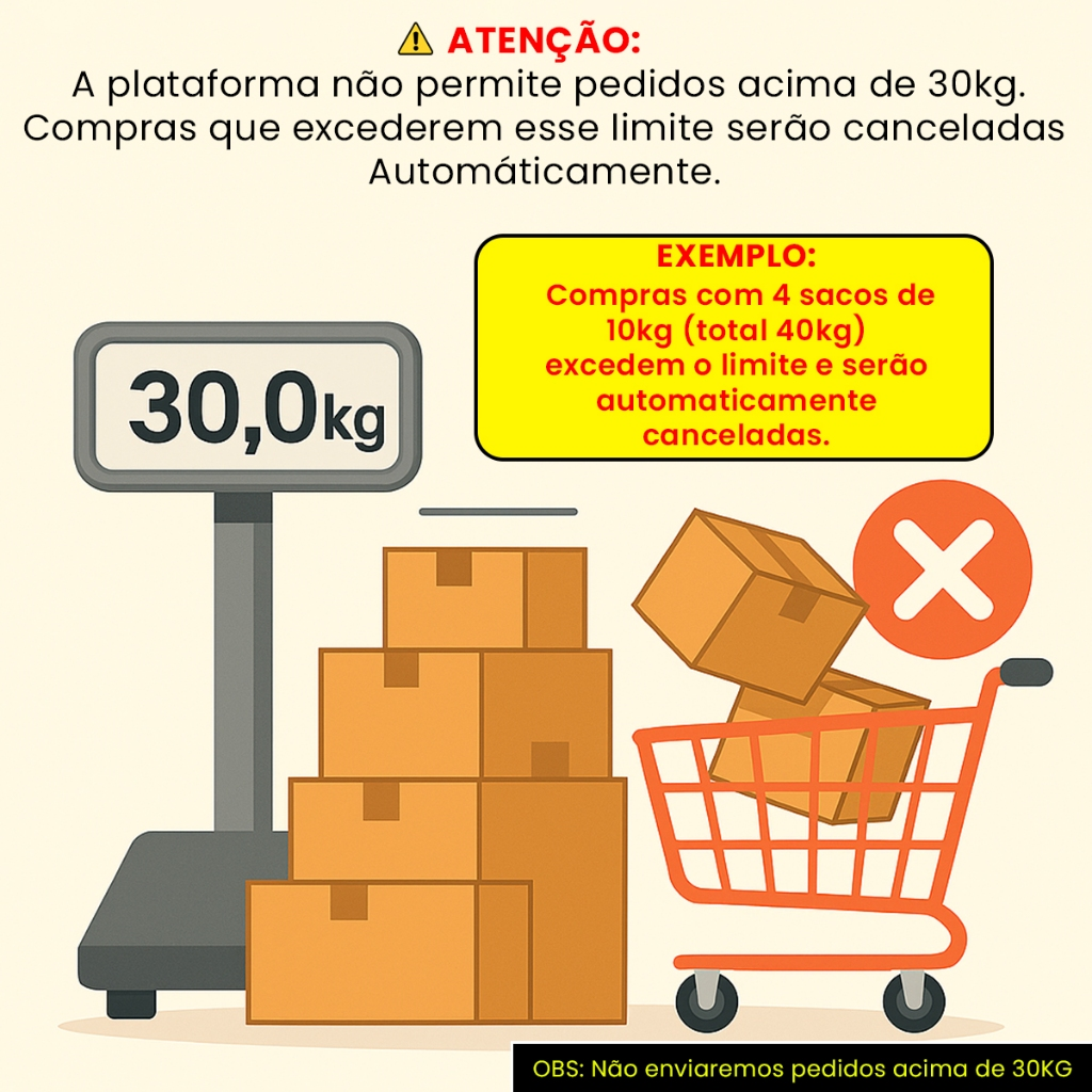 Pedra Para Vasos de Plantas Seixo Branco Dolomita Natural Premium Decoração Canteiros e Jardins