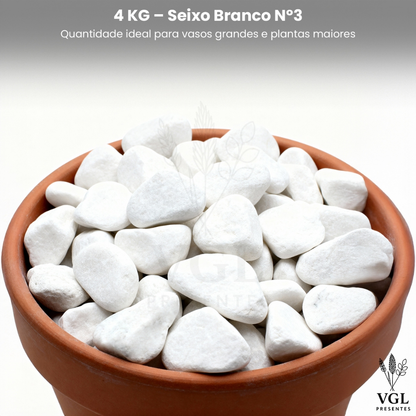 Pedra Para Vasos De Plantas Seixo Branco Dolomita Natural Premium Decoração Canteiros E Jardins