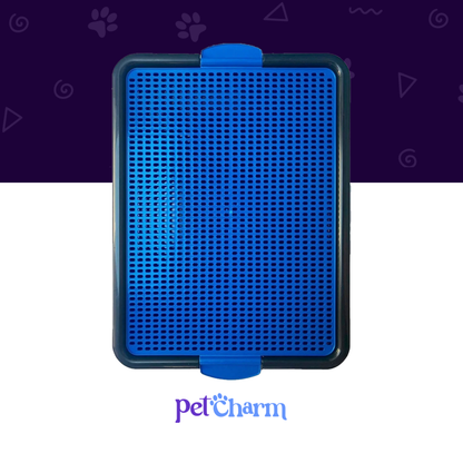 Sanitário Higiênico Canino Pet Educador Xixi Sim Tapete Higiênico Cachorro Grande Banheiro