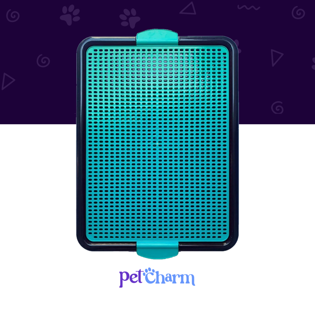 Sanitário Higiênico Canino Pet Educador Xixi Sim Tapete Higiênico Cachorro Grande Banheiro