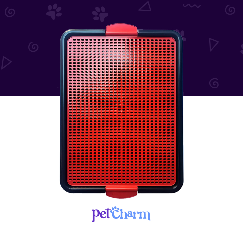 Sanitário Higiênico Canino Pet Educador Xixi Sim Tapete Higiênico Cachorro Grande Banheiro