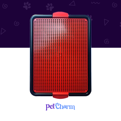 Sanitário Higiênico Canino Pet Educador Xixi Sim Tapete Higiênico Cachorro Grande Banheiro