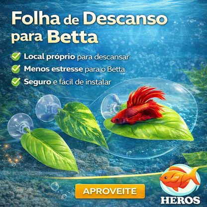Folha de Descanso para Peixe Betta – Antiestresse, Atóxica, Conforto e Bem-Estar no Aquário