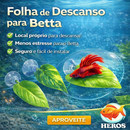 Folha de Descanso para Peixe Betta – Antiestresse, Atóxica, Conforto e Bem-Estar no Aquário