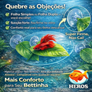Folha de Descanso para Peixe Betta – Antiestresse, Atóxica, Conforto e Bem-Estar no Aquário