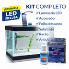 Aquário Completo Beteira - Aquário + Luminária + Decorações + Aquecedor + Ração e Anticloro