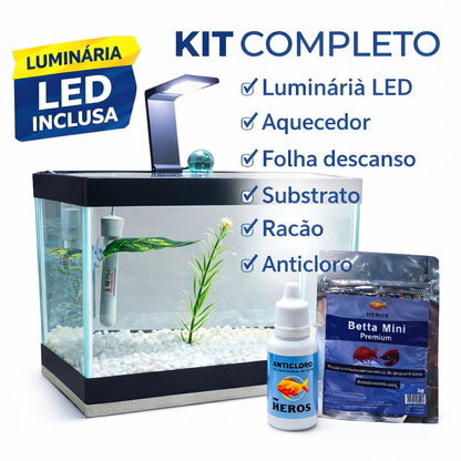 Aquário Completo Beteira - Aquário + Luminária + Decorações + Aquecedor + Ração e Anticloro
