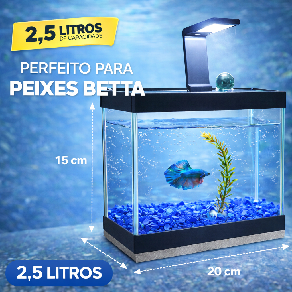 Aquário Completo Beteira - Aquário + Luminária + Decorações + Aquecedor + Ração e Anticloro