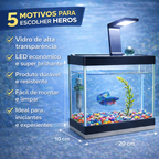 Aquário Completo Beteira - Aquário + Luminária + Decorações + Aquecedor + Ração e Anticloro