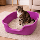Caixa de Areia Gato Grande 65x54x21 Bandeija Gigante Jumbo Higienico Sanitario Toalete