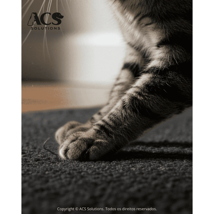 Arranhador Adesivo Premium Para Sofá, Cama E Móveis Para Gato - Protetor Pet