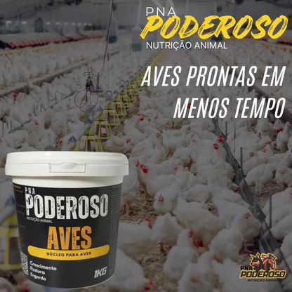 Poderoso Aves Núcleo Mineral Vitamínico P Todas As Fases 1kg