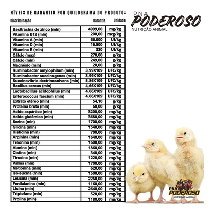 Poderoso Aves Núcleo Mineral Vitamínico P Todas As Fases 1kg