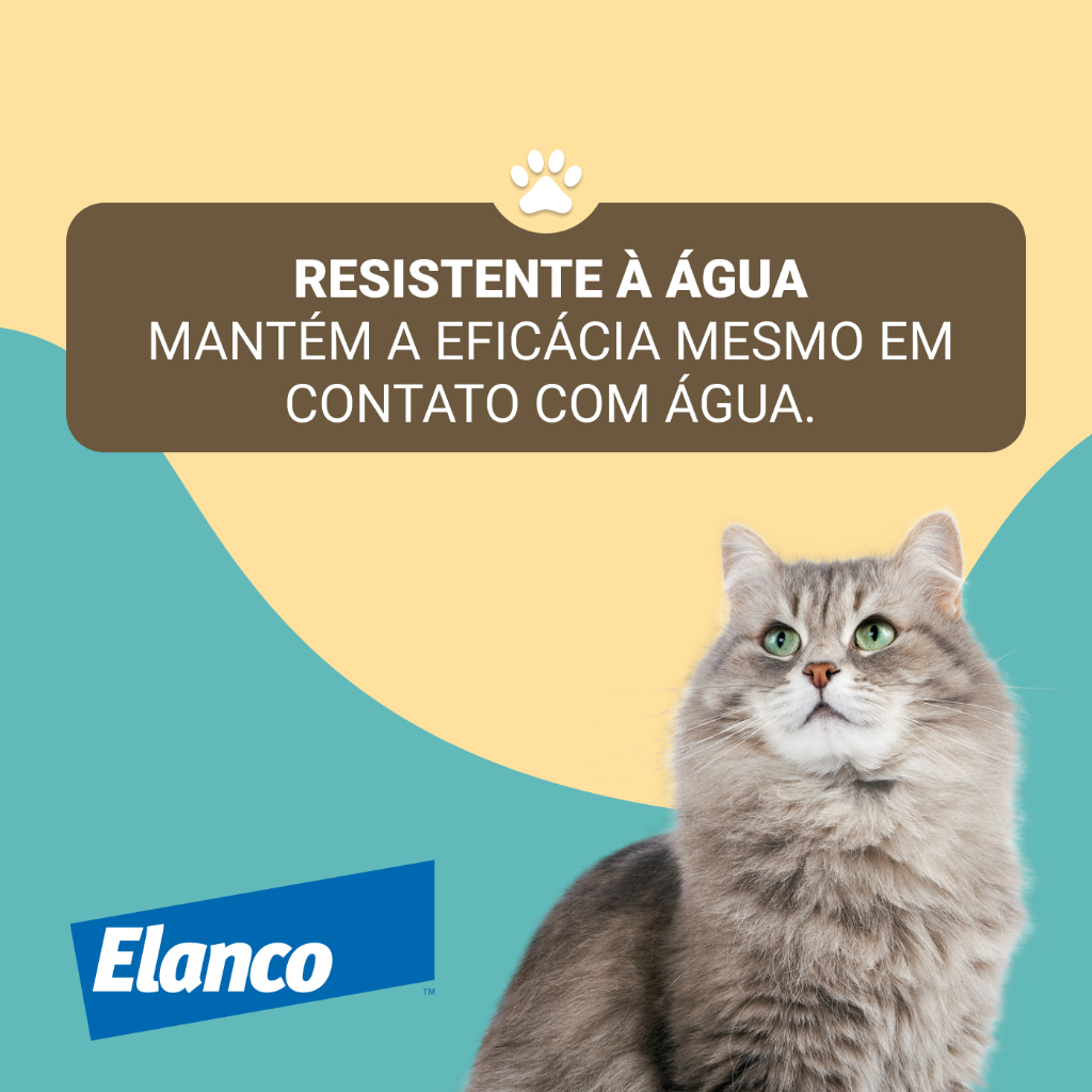 Coleira Seresto Antipulgas Para Cães E Gatos Até 8kg