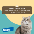 Coleira Seresto Antipulgas Para Cães E Gatos Até 8kg