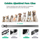 Coleira Colar Adestramento Cães Cachorro Recarregável com controle impermeável Cão grandeCão pequeno