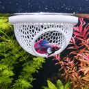 Esconderijo Flutuante para Peixes Betta Toca para Aquário Cama Folha Descanso Aquarismo Decoração