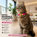 Coleira Gato com Nome e Telefone Gravado a Laser sem Plaquinha Ajustável Segura e Confortável