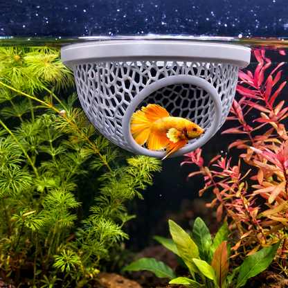 Esconderijo Flutuante Para Peixes Betta Toca Para Aquário Cama Folha Descanso Aquarismo Decoração