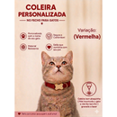 Coleira Gato com Nome e Telefone Gravado a Laser sem Plaquinha Ajustável Segura e Confortável