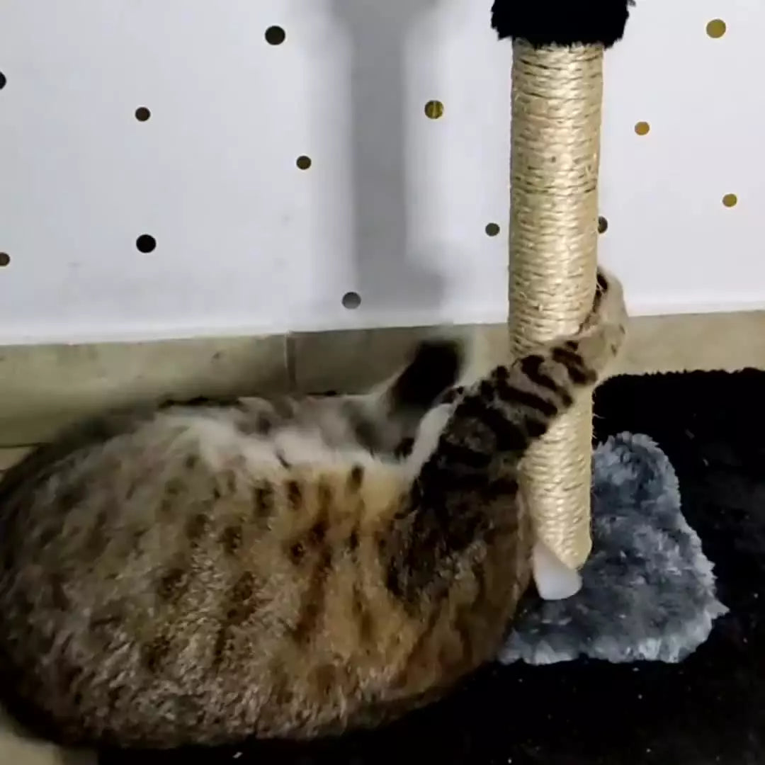 Arranhador Para Gatos Poste G Torre Sisal com Bola de Pelucia - MIUPET