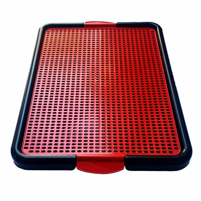 Banheiro para cães xixi pets Fourpata - Pet Caixas