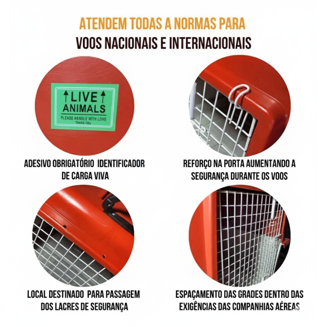 Caixa de Transporte para Embarque Aéreo - Nacional e Internacional - Pet Caixas