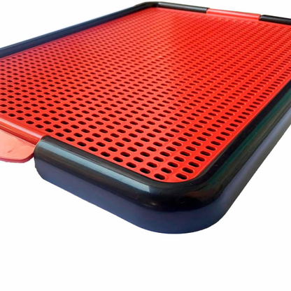 Banheiro para cães xixi pets Fourpata - Pet Caixas