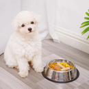 Comedouro e Bebedouro Inox Antiderrapante Para Cães e Gatos - Resistente e Ideal Para Pets de Todos os Potes - WYL