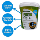 Fertilizante Forth Cote Plus 5M 400g 15-09-12 - Forth Jardim