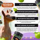 Creatina 90 Syntec Suplemento Para Cavalo - 500g