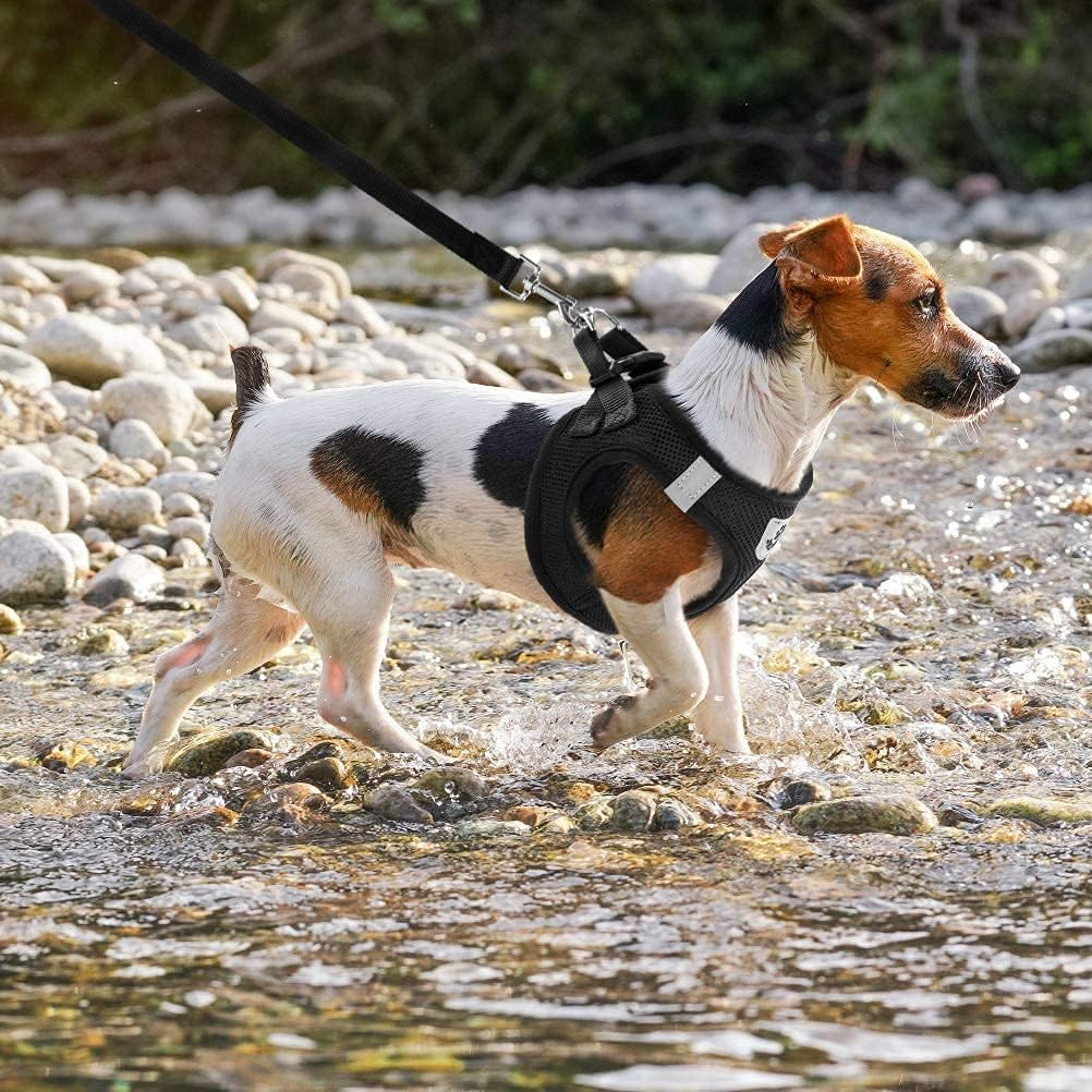 Guia Coleira de Malha Flexível com Colete Peitoral Ajustável para Cão Cachorro Gato Animais