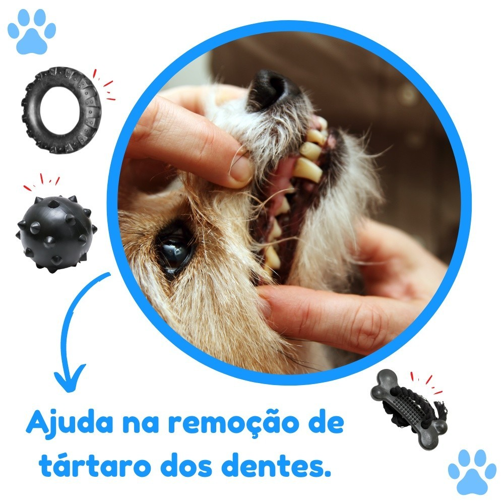 Kit Brinquedo Mordedor para Cachorro Pneu G + Bola Cravo Maciça 75mm + Osso Grande Black com Corda