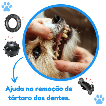Kit Brinquedo Mordedor para Cachorro Pneu G + Bola Cravo Maciça 75mm + Osso Grande Black com Corda