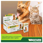 Antiinflamatório Para Cães e Gatos Biodex Cartela Avulsa 20 Comprimidos sem caixa