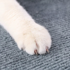 Tapete Arranhador Para Gatos Auto-Adesivo Proteçao Para Sofa Parede Cama