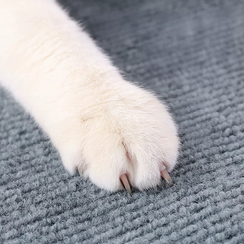 Tapete Arranhador Para Gatos Auto-Adesivo Proteçao Para Sofa Parede Cama